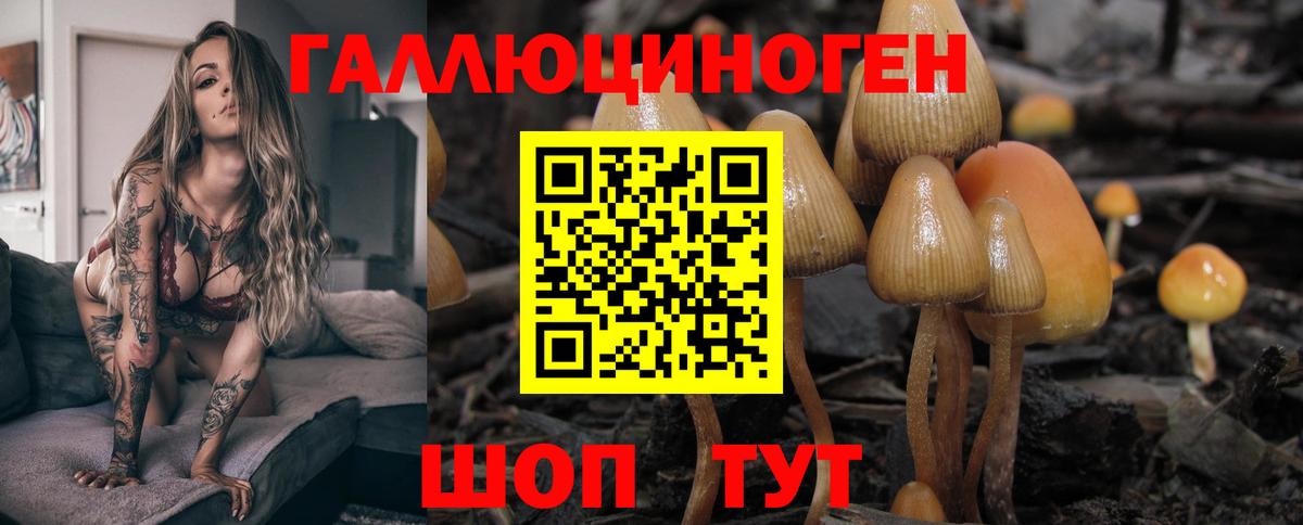 Красногорск  Псилоцибиновые грибы MAGIC MUSHROOMS  Галлюциногенные грибы прущие грибы  Вход с VPN 